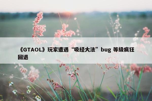 《GTAOL》玩家遭遇“吸经大法”bug 等级疯狂回退