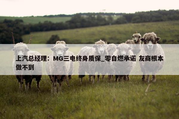 上汽总经理：MG三电终身质保_零自燃承诺 友商根本做不到