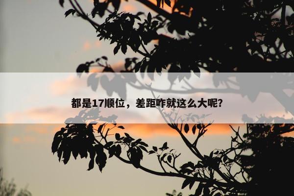 都是17顺位，差距咋就这么大呢？