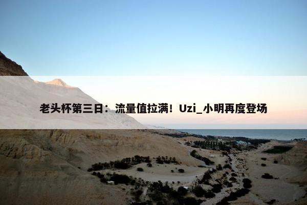 老头杯第三日：流量值拉满！Uzi_小明再度登场