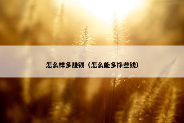 怎么样多赚钱（怎么能多挣些钱）