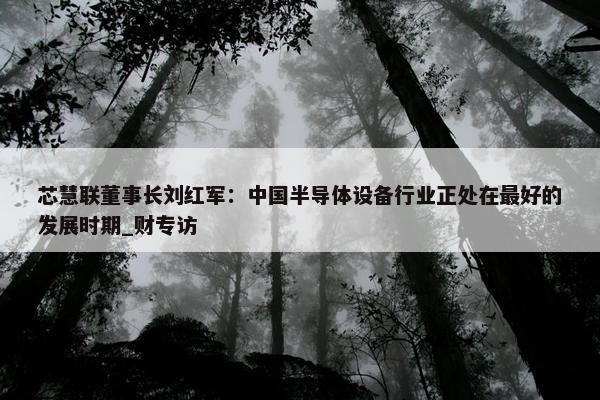 芯慧联董事长刘红军：中国半导体设备行业正处在最好的发展时期_财专访