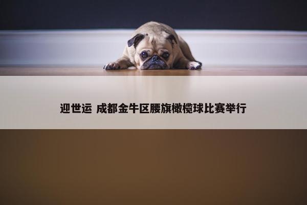 迎世运 成都金牛区腰旗橄榄球比赛举行