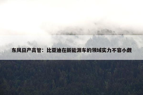 东风日产高管：比亚迪在新能源车的领域实力不容小觑