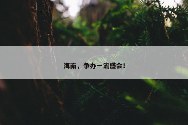 海南，争办一流盛会！