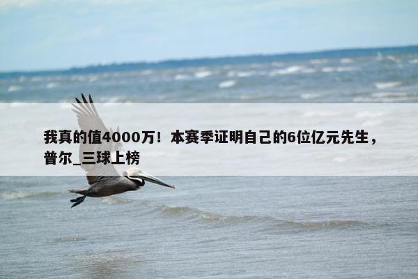 我真的值4000万！本赛季证明自己的6位亿元先生，普尔_三球上榜