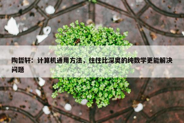 陶哲轩：计算机通用方法，往往比深奥的纯数学更能解决问题