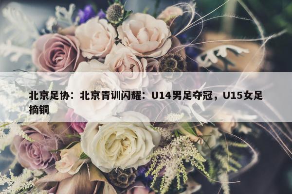 北京足协：北京青训闪耀：U14男足夺冠，U15女足摘铜