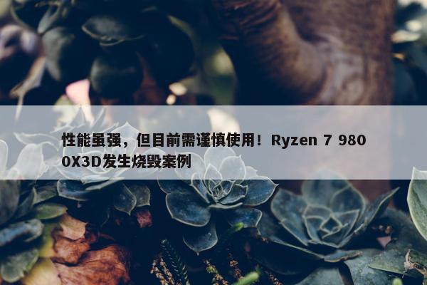 性能虽强，但目前需谨慎使用！Ryzen 7 9800X3D发生烧毁案例