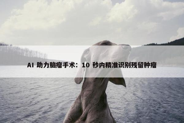 AI 助力脑瘤手术：10 秒内精准识别残留肿瘤