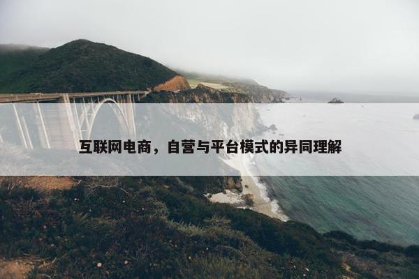 互联网电商，自营与平台模式的异同理解