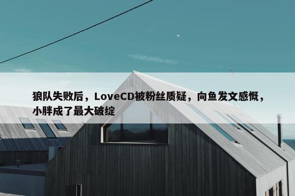 狼队失败后，LoveCD被粉丝质疑，向鱼发文感慨，小胖成了最大破绽