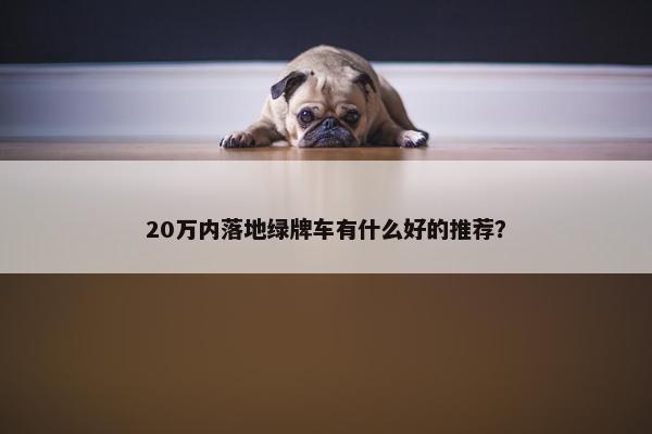 20万内落地绿牌车有什么好的推荐？