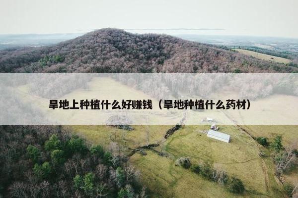 旱地上种植什么好赚钱（旱地种植什么药材）