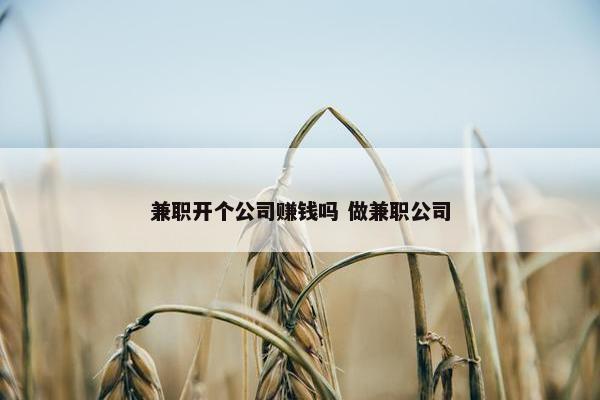 兼职开个公司赚钱吗 做兼职公司