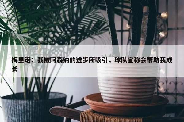 梅里诺：我被阿森纳的进步所吸引，球队宣称会帮助我成长