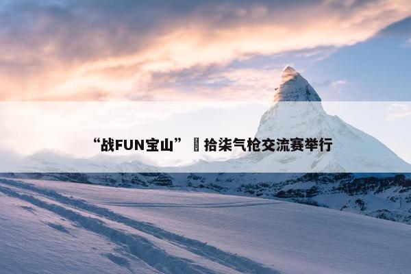 “战FUN宝山”極拾柒气枪交流赛举行