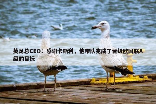 英足总CEO：感谢卡斯利，他带队完成了晋级欧国联A级的目标