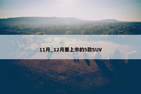 11月_12月要上市的5款SUV