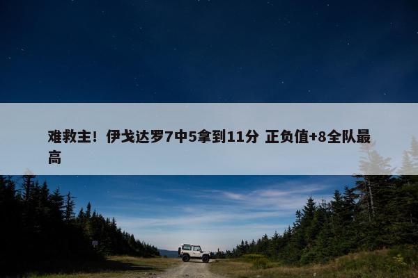 难救主！伊戈达罗7中5拿到11分 正负值+8全队最高