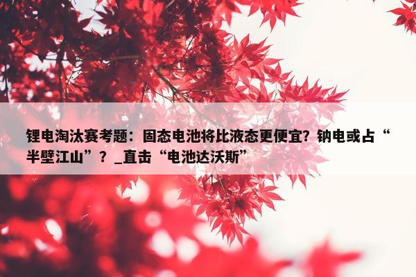 锂电淘汰赛考题：固态电池将比液态更便宜？钠电或占“半壁江山”？_直击“电池达沃斯”