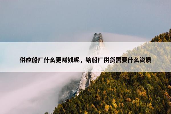 供应船厂什么更赚钱呢，给船厂供货需要什么资质