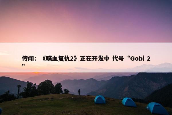 传闻：《喋血复仇2》正在开发中 代号“Gobi 2”