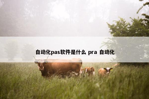 自动化pas软件是什么 pra 自动化