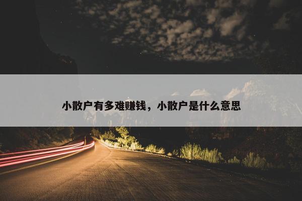 小散户有多难赚钱，小散户是什么意思