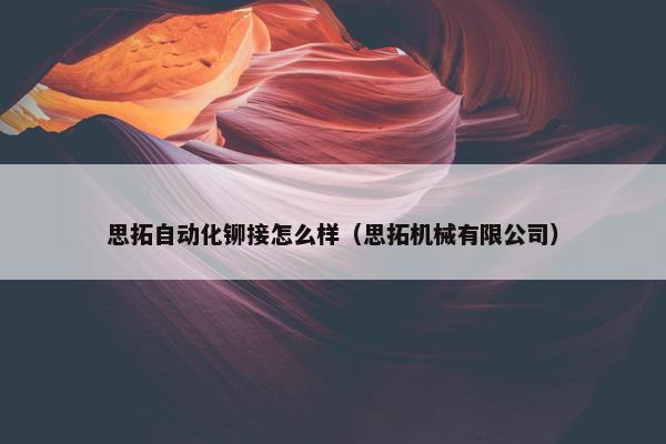 思拓自动化铆接怎么样（思拓机械有限公司）