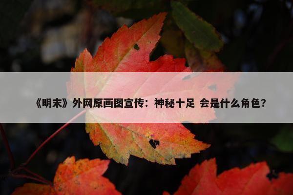 《明末》外网原画图宣传：神秘十足 会是什么角色？