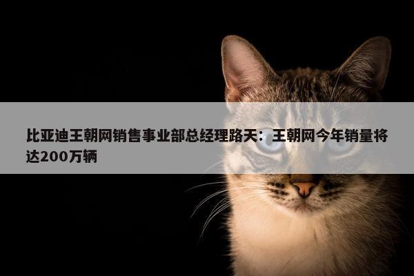 比亚迪王朝网销售事业部总经理路天：王朝网今年销量将达200万辆