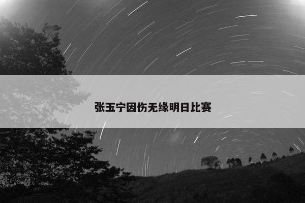 张玉宁因伤无缘明日比赛