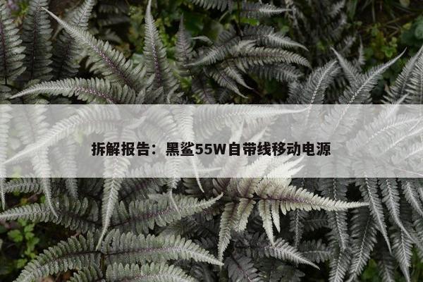 拆解报告：黑鲨55W自带线移动电源