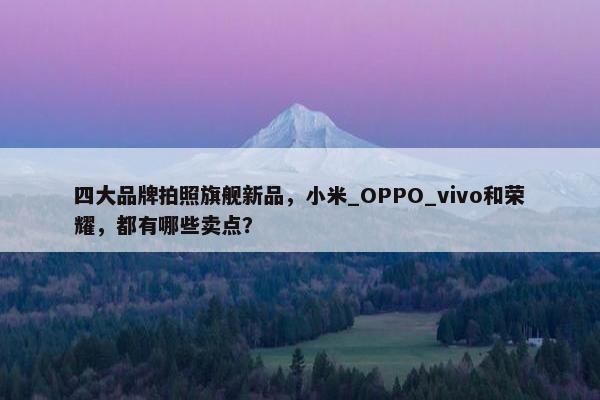 四大品牌拍照旗舰新品，小米_OPPO_vivo和荣耀，都有哪些卖点？