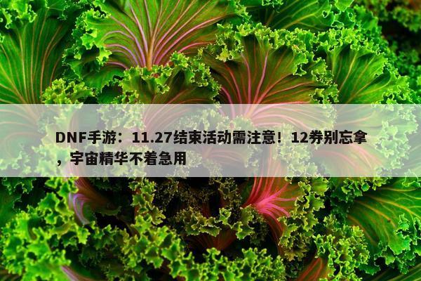 DNF手游：11.27结束活动需注意！12券别忘拿，宇宙精华不着急用