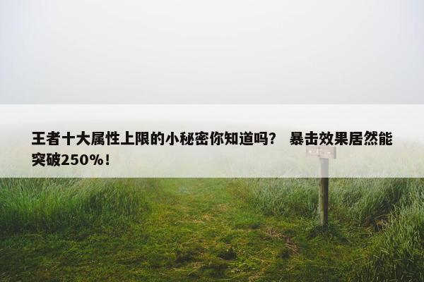 王者十大属性上限的小秘密你知道吗？ 暴击效果居然能突破250%！