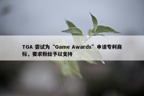 TGA 尝试为“Game Awards”申请专利商标，要求粉丝予以支持