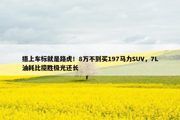 捂上车标就是路虎！8万不到买197马力SUV，7L油耗比揽胜极光还长