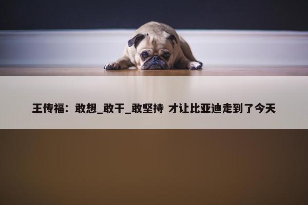 王传福：敢想_敢干_敢坚持 才让比亚迪走到了今天