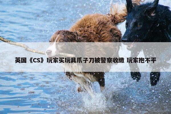 英国《CS》玩家买玩具爪子刀被警察收缴 玩家抱不平