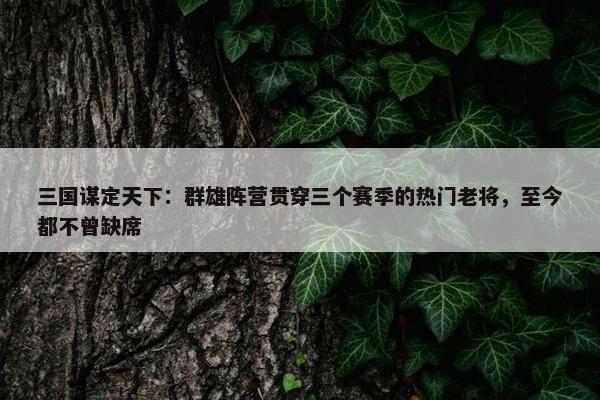 三国谋定天下：群雄阵营贯穿三个赛季的热门老将，至今都不曾缺席