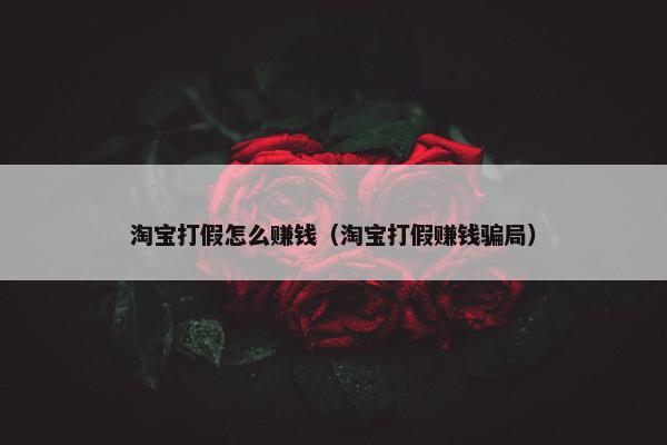 淘宝打假怎么赚钱（淘宝打假赚钱骗局）