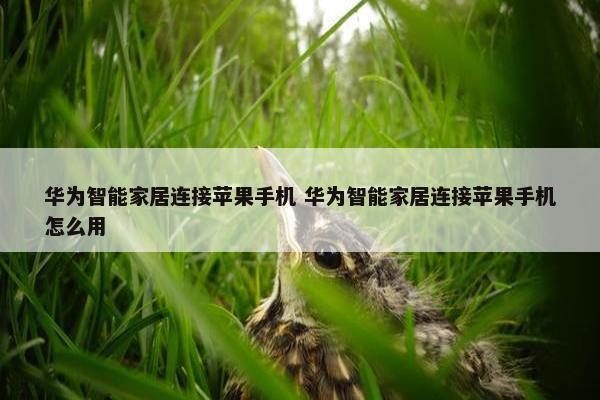 华为智能家居连接苹果手机 华为智能家居连接苹果手机怎么用