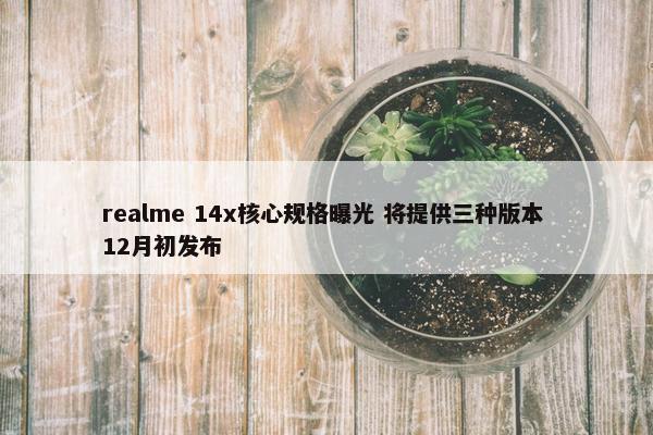 realme 14x核心规格曝光 将提供三种版本 12月初发布