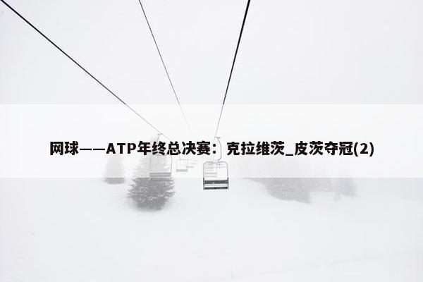 网球——ATP年终总决赛：克拉维茨_皮茨夺冠(2)