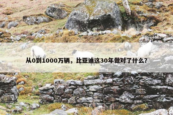 从0到1000万辆，比亚迪这30年做对了什么？