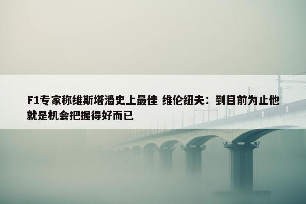 F1专家称维斯塔潘史上最佳 维伦纽夫：到目前为止他就是机会把握得好而已