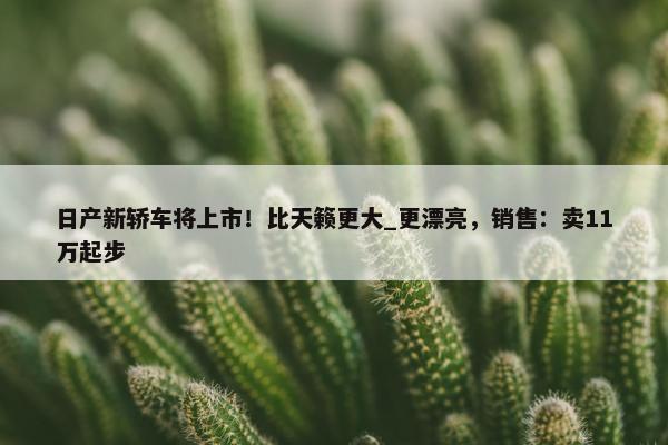 日产新轿车将上市！比天籁更大_更漂亮，销售：卖11万起步