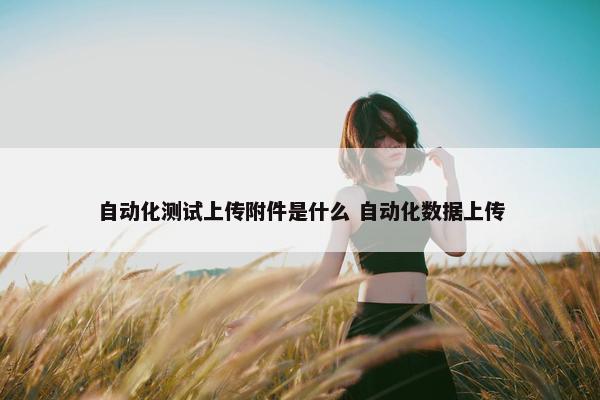 自动化测试上传附件是什么 自动化数据上传